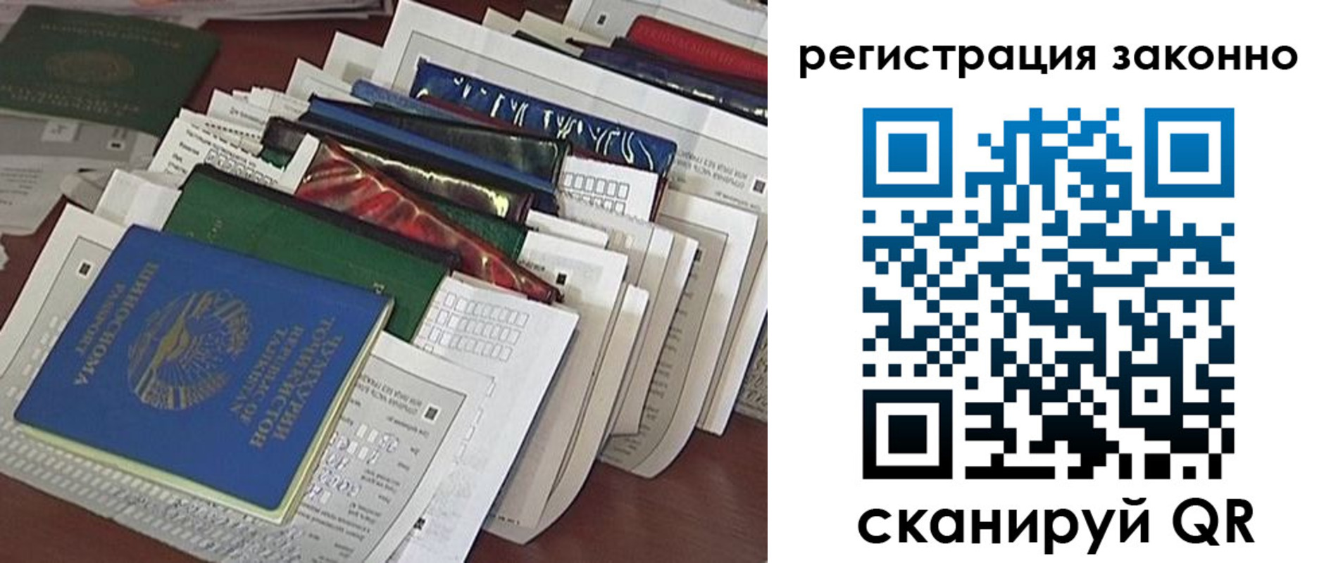 прописка 2025 в Коле