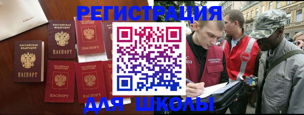 где прописаться в Коле